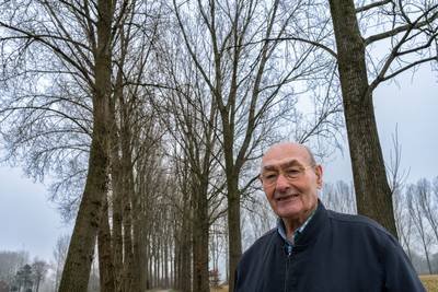 De telefoon rinkelt bij Rien: de populier is weer populair