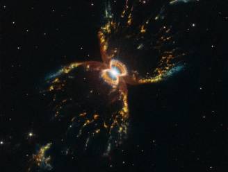 Hubble viert 29ste verjaardag met foto van Zuidelijke Krabnevel