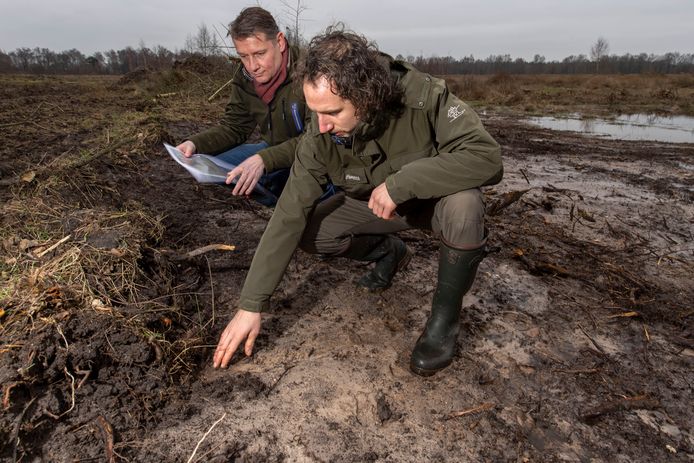 Jeroen Waanders (links) en Arnoud Popping van Natuurmonumenten wijzen aan waar de heide en schraal grasland komt met hopelijk bijzondere kruidensoorten.