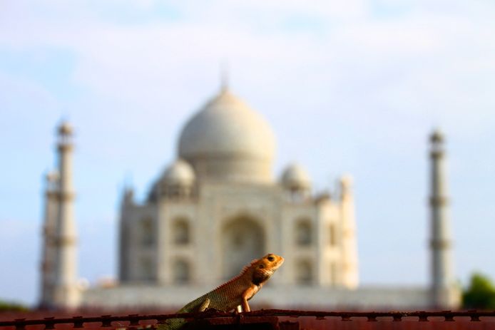 De Taj Mahal in India.