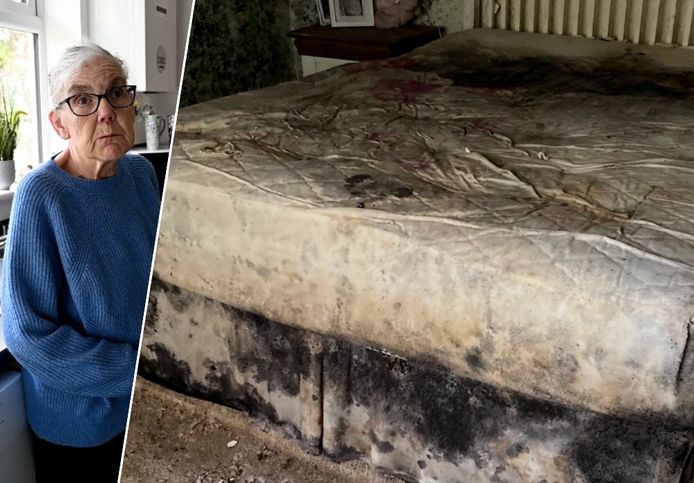 Pat had to leave her home after mold covered the walls and even her bed.