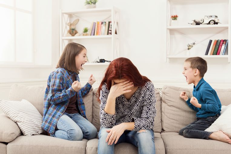 Ruzie tussen broers en zussen is  doodnormaal, maar ook erg vervelend. Beeld Shutterstock