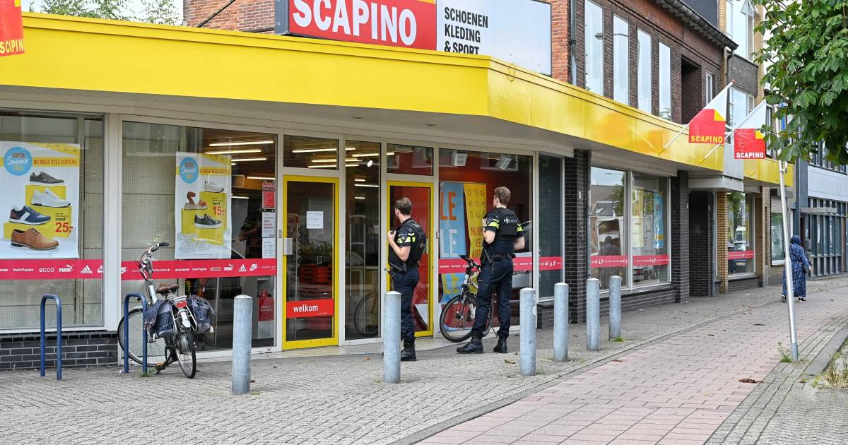 Scapino webwinkel shop