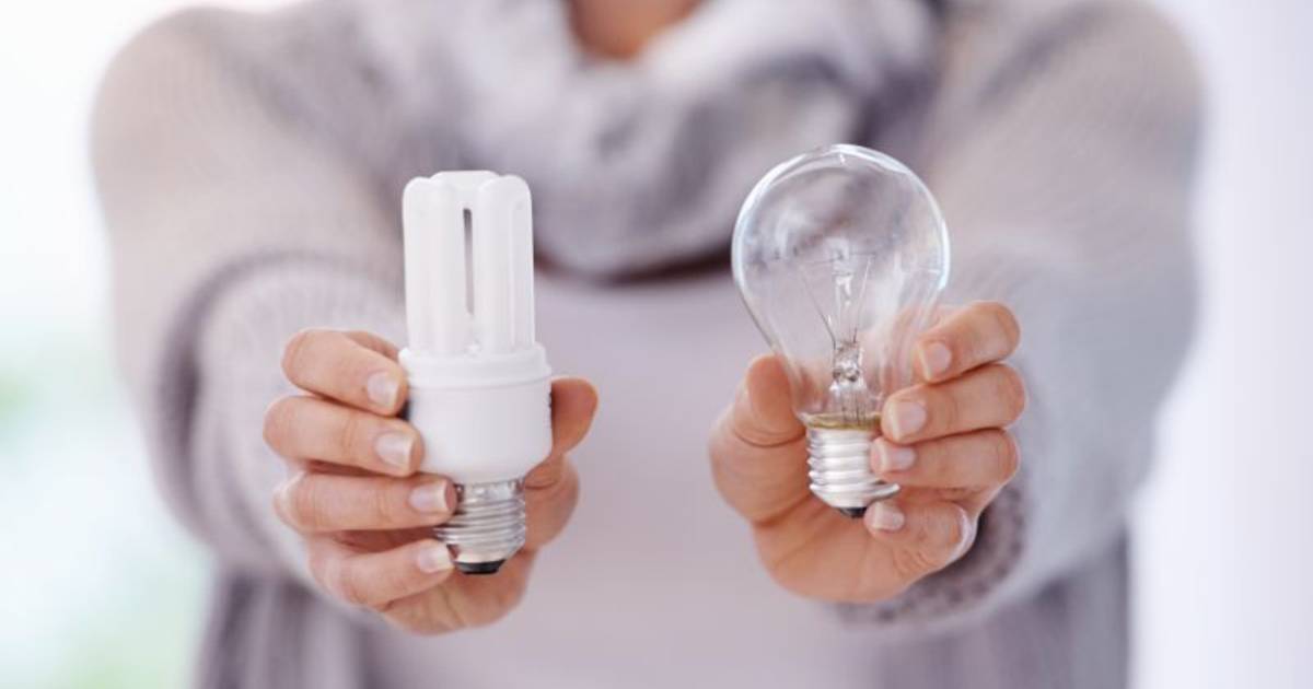 tabak lens willekeurig Dit zijn de 3 meest energiezuinige lampen | WOON. | hln.be