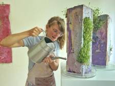 Kunst met planten in Museum Jan Cunen