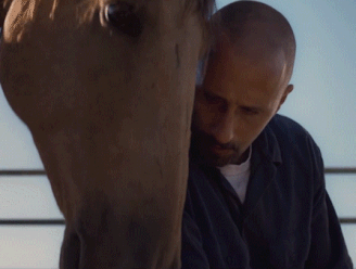 VIDEO. “Best angstaanjagend”: Matthias Schoenaerts werkt met woeste paarden in ‘The Mustang’