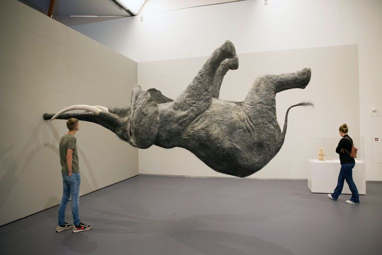 In de tentoonstelling ‘We Are Animals’ in de Kunsthal in Rotterdam was in 2021 een grote verscheidenheid aan buitengewone dierlijke creaties te zien van ruim dertig hedendaagse kunstenaars. 
 Beeld Arie Kievit / de Volkskrant