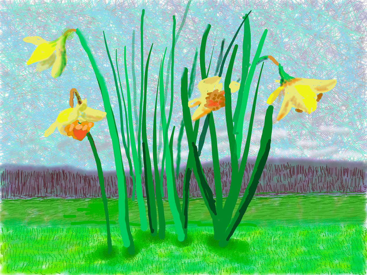 David Hockney, ‘No. 118. 16 maart 2020.’  Beeld David Hockney