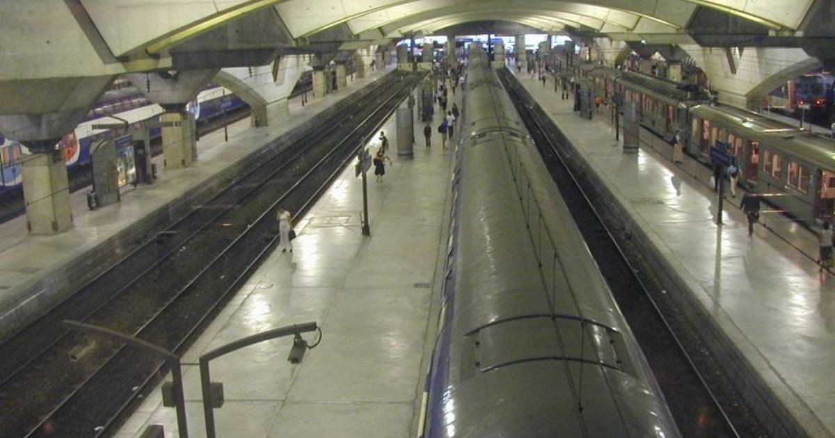 Arrestato uomo con due armi automatiche alla stazione ferroviaria di Parigi |  All’estero