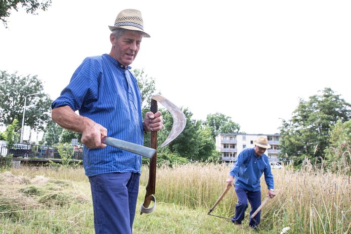 De korte zeis, ofwel een zigt, wordt af en toe geslepen, om de werkzaamheden soepel te laten verlopen.
