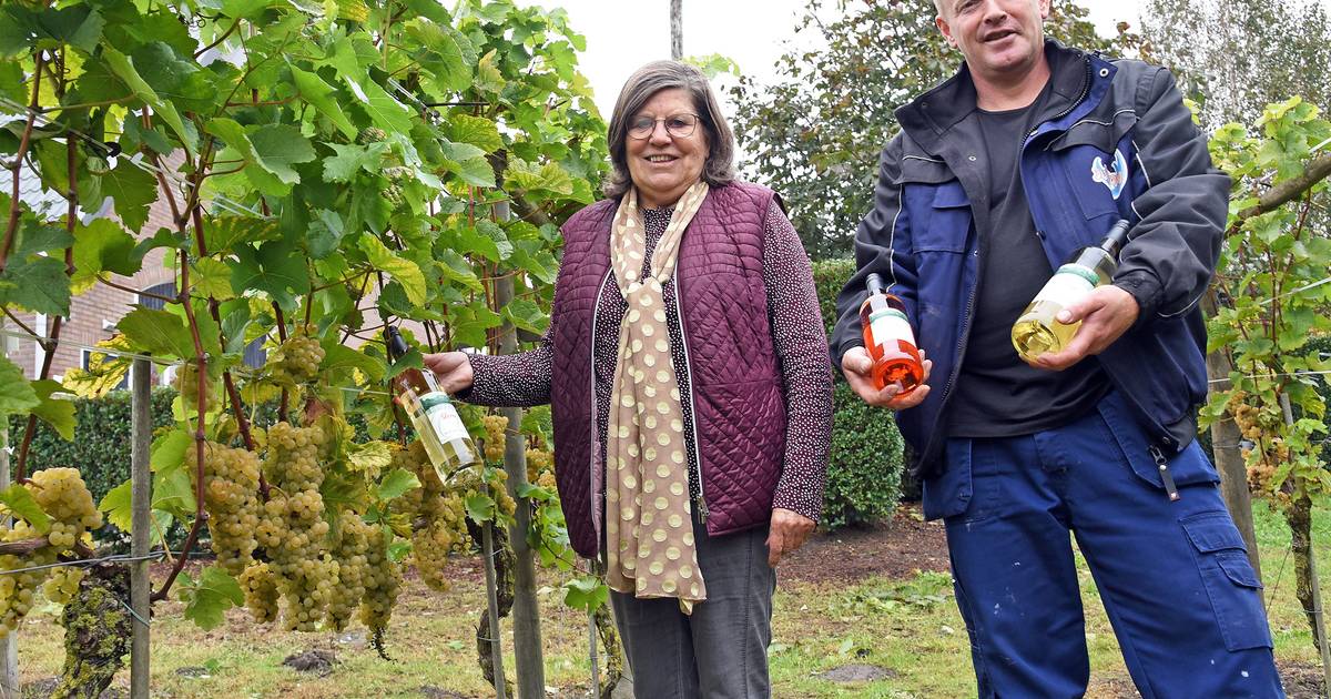 Wijn uit Waterlandkerkje, op Duitse wijze