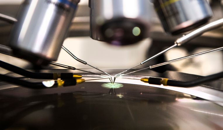 Een computerchip onder de microscoop bij producent NXP.  Beeld ANP XTRA, Piroschka van de Wouw