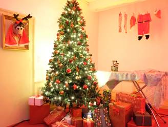 Kerstmagie in het kasteel van Hingene