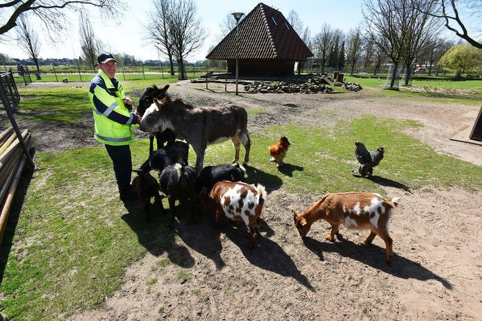 Beheerder Frans Knippels van het dierenparkje aan de Prins Hendrikstraat in Drunen had naar eigen zeggen de mooiste baan van de wereld.