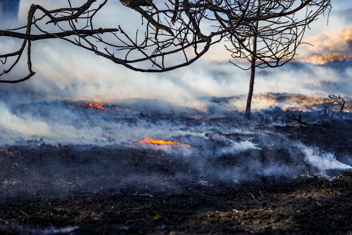 Een heidegebied van ongeveer zes voetbalvelden groot stond in brand in Waalre.