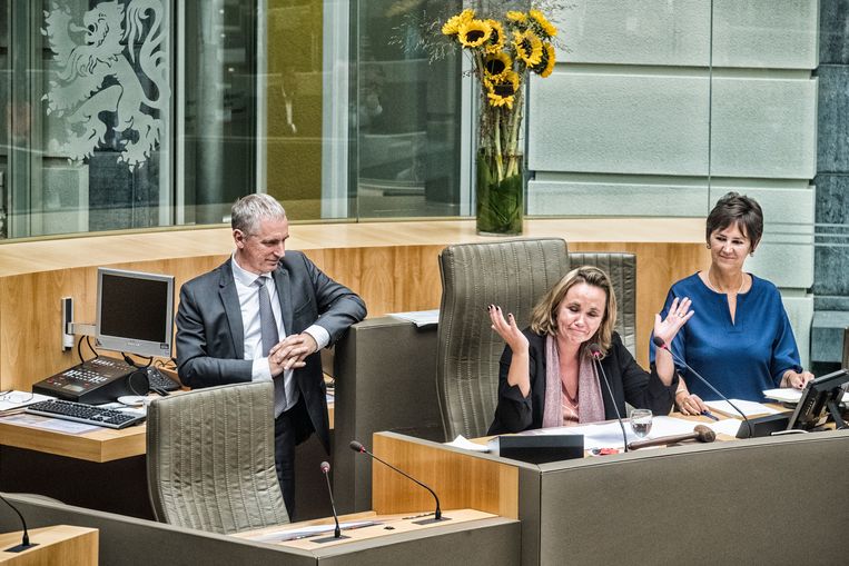 Vlaams Parlementsvoorzitter Liesbeth Homans. Beeld Tim Dirven
