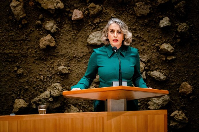 Volt-Kamerlid Nilüfer Gündogan werd geschorst na meldingen van een aantal medewerkers over ‘grensoverschrijdend gedrag’.