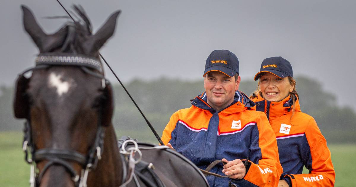 Buurmeisjes melken de koeien als Pieter samen met zijn Nicole een gooi doet naar de wereldtitel menn