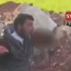 Nieuw dieptepunt in propaganda-oorlog Syrië: rebel snijdt hart uit soldaat