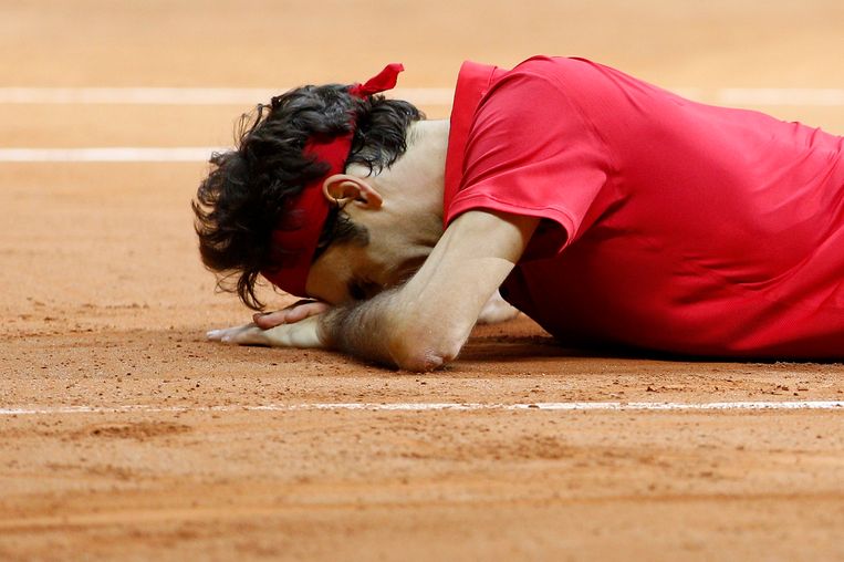 Federer na het winnen van de Davis Cup. Beeld epa