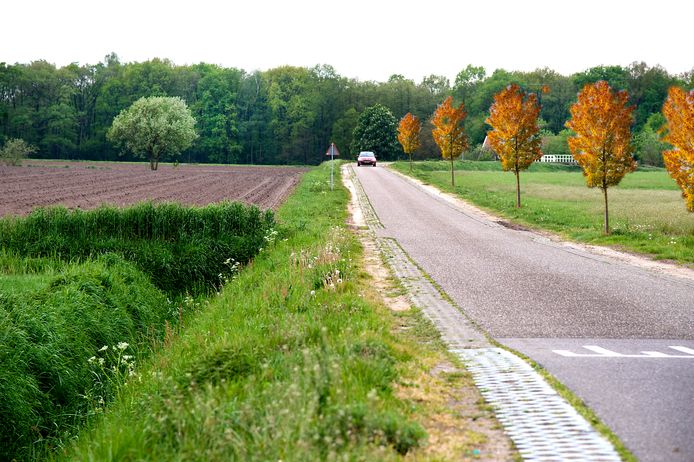 De Koeweidendijk bij Rietmolen, mét in het landschap gephotoshopte bomen langs de weg.