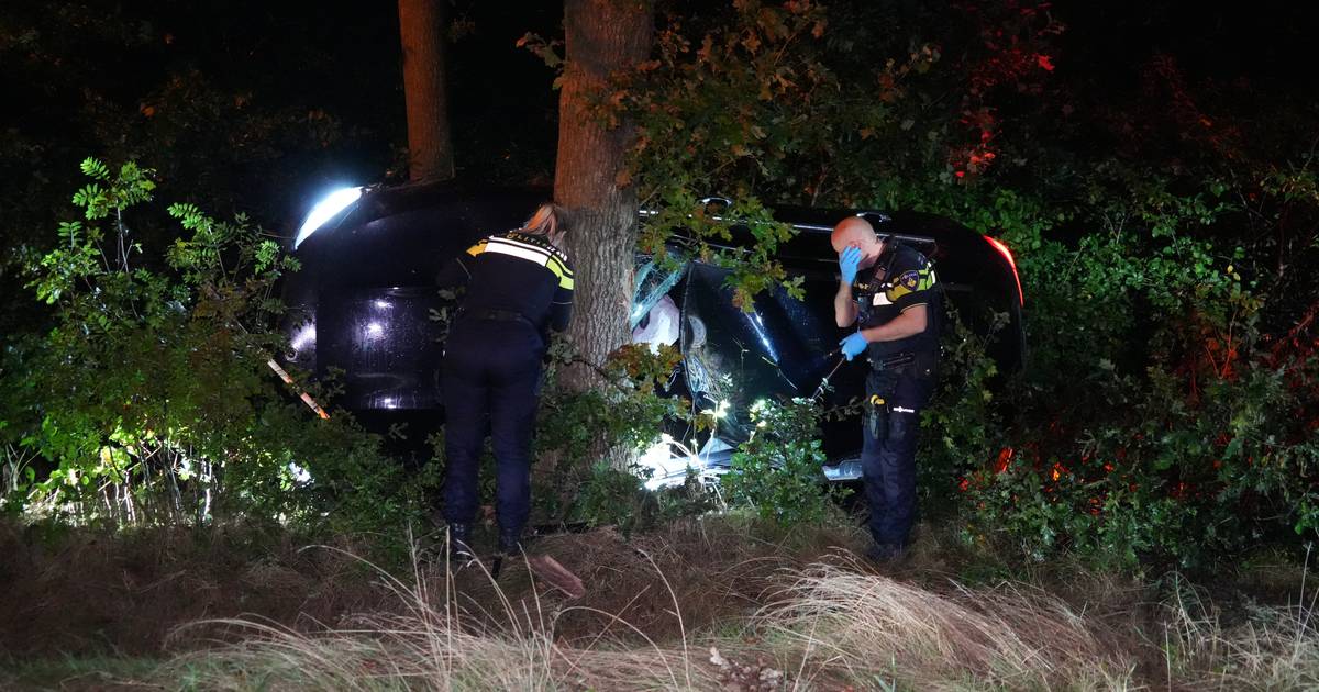 Auto belandt precies tussen twee bomen (en dat is een geluk) | Ommen