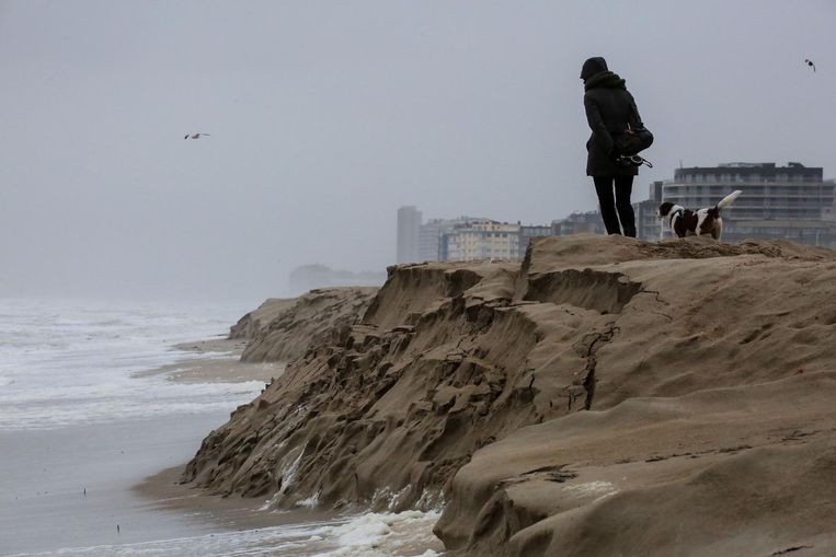 Het strand tussen Oostende en Middelkerke Beeld Henk Deleu