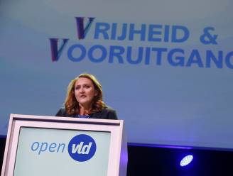 Rutten zegt De Wever de wacht aan: "Het energiepact komt er in 2018"
