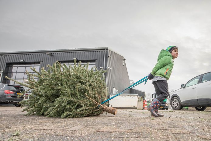 Als er geen emmer, pot, standaard of kerstversiering in de boom zit, kunnen de bomen op 8 januari vanaf de ochtenduren ingeleverd worden.
