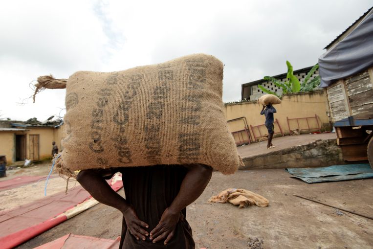 Zakken vol cacao in Abidjan, Ivoorkust. Beeld AFP