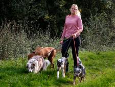 Mellanie runt een hondenuitlaatservice: ‘Ouderen kunnen dankzij mij hun hondje langer bij zich houden’