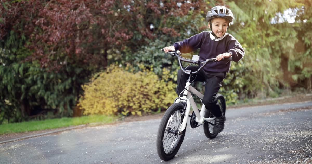 helaas attribuut Zuigeling Hoe kunnen kinderen veiliger fietsen? Deel jouw ervaring en help mee om  Vlaanderen VeloVeilig te maken | Nieuws | hln.be