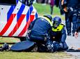Beeld ter illustratie: een van de twintig aanhoudingen tijdens de demonstratie zondag op het Malieveld.