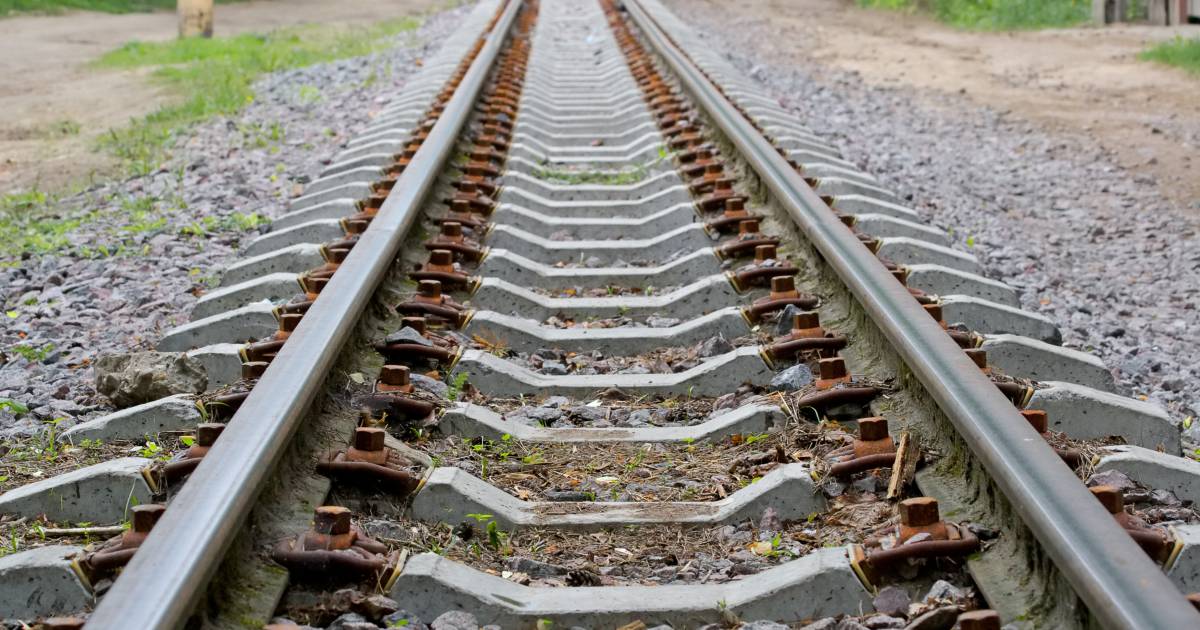 Geen treinen tussen Goes en Middelburg vanwege aanrijding.