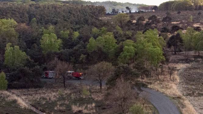 Grote brand op Sallandse Heuvelrug onder controle, brandweer nog niet klaar