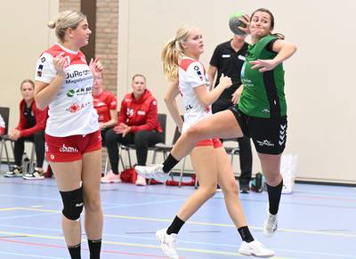 Handbalsters van MHV ontdoen zich van DSS