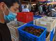 L'OMS est persuadée que le marché de Wuhan a “joué un rôle”