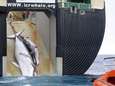 Japanners blijven hardnekkig walvissen vermoorden