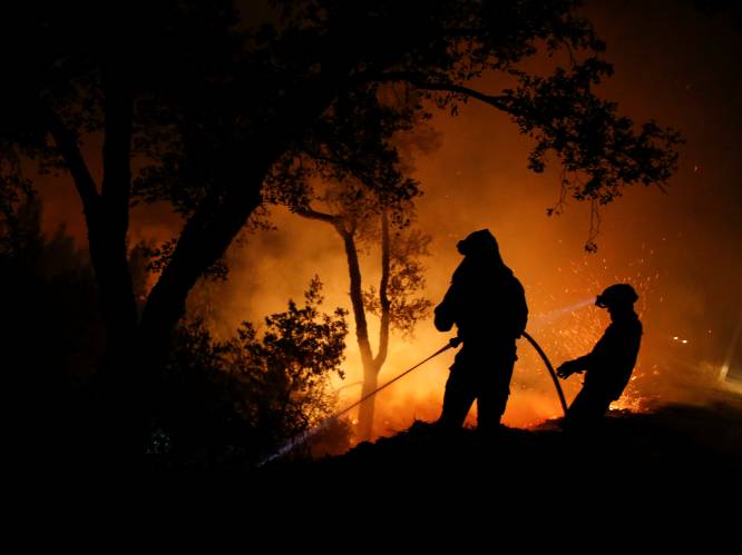 In 2016 brandde liefst 297.000 vierkante kilometer bos af (en 2017 wordt allicht nog erger)