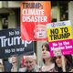 Lezersbrieven over Trump, onderwijs, dendrofobie  en Hilary Mantel
