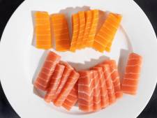 Van vegan zalm tot vegan kibbeling: dit zijn de lekkerste visvervangers uit de supermarkt