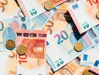 Werkende Vlaming had in 2022 netto beroepsinkomen van gemiddeld 2.550 euro per maand