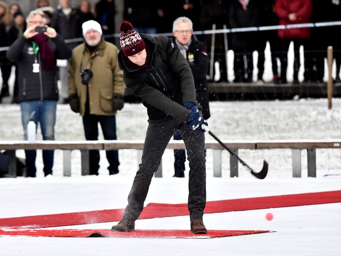 Prins William