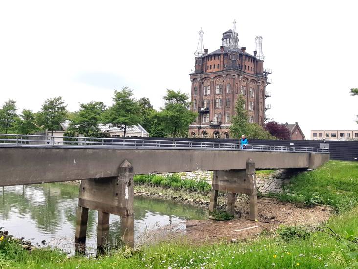 Het vreemdste en meest overbodige bruggetje van Dordt? Onzinnig kan juist zo leuk zijn