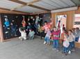 Op de speelplaats van De Mozaïek in Sint-Jozef De Geite kunnen kinderen zich voortaan uitleven op een klimmuur, terwijl er ook lachspiegels geïnstalleerd werden.