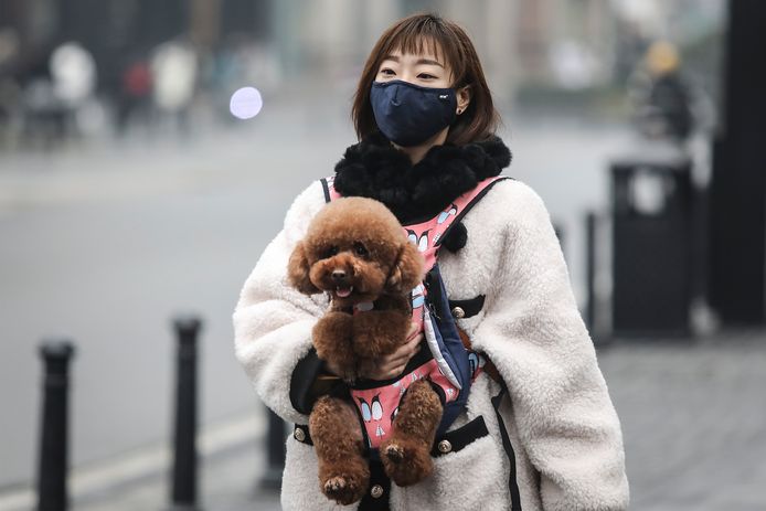 In Wuhan zitten naar schatting zo'n 50.000 huisdieren moederziel alleen thuis, zonder eten of drinken.