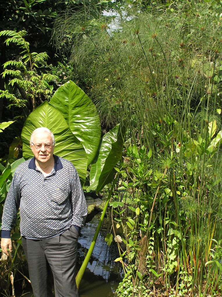 Jacob Friedenbrecht berperang melawan pemberontak di Hindia Belanda, ditangkap dan menerima ide-ide mereka