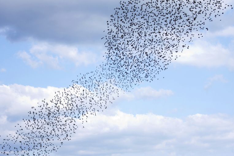 null Beeld thinkstock