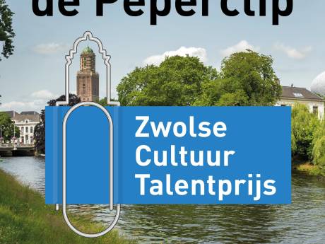 Kunstenaars kunnen zich laten nomineren voor nieuwe talentprijs in Zwolle