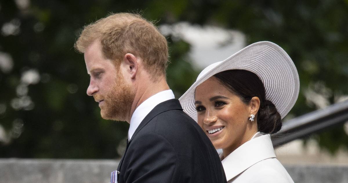 Meghan et Harry adoptent un chien sauvé d’une usine d’élevage |  Afficher